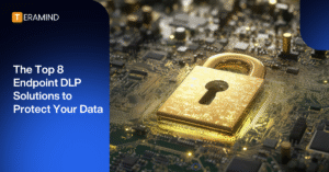 endpoint dlp solutions