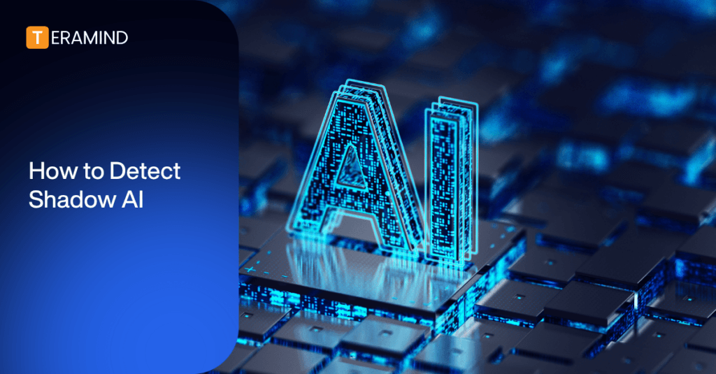 How to Detect Shadow AI