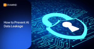 AI data leakage prevention