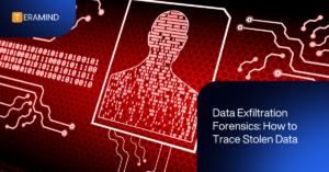 Data exfiltration forensics